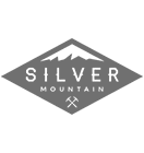  Silver 2